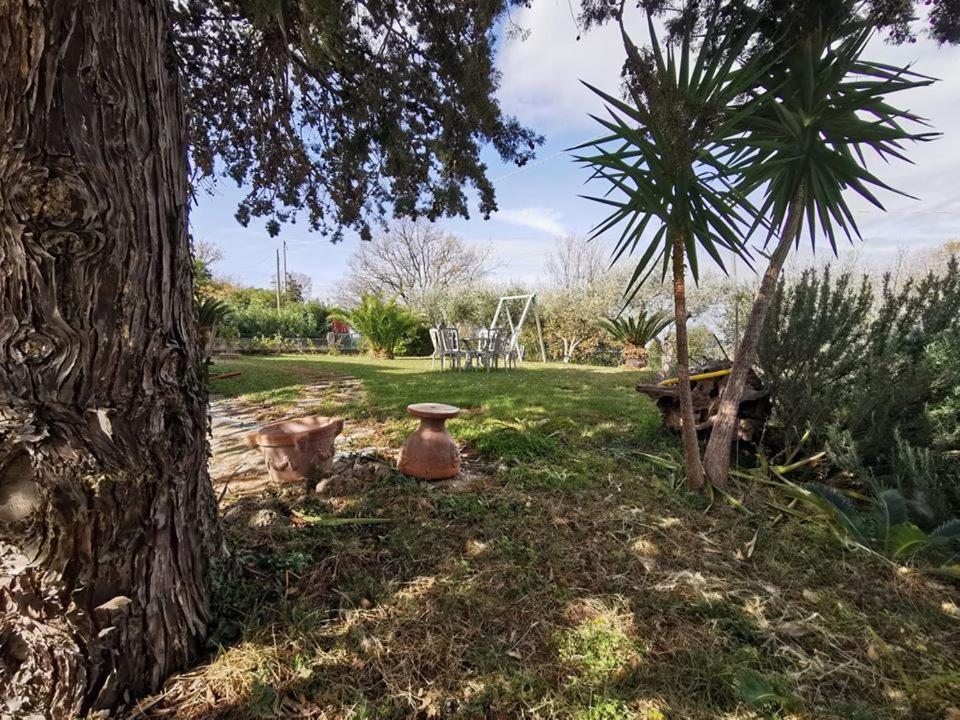 Bed & Breakfast Villa Flora Eredita Εξωτερικό φωτογραφία